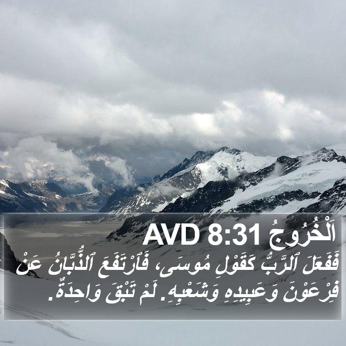 اَلْخُرُوجُ 8:31 AVD Bible Study