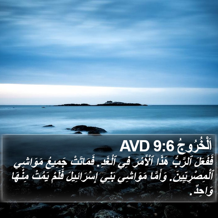 اَلْخُرُوجُ 9:6 AVD Bible Study