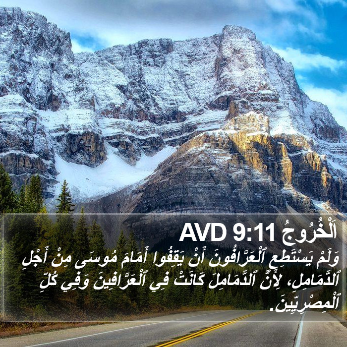 اَلْخُرُوجُ 9:11 AVD Bible Study