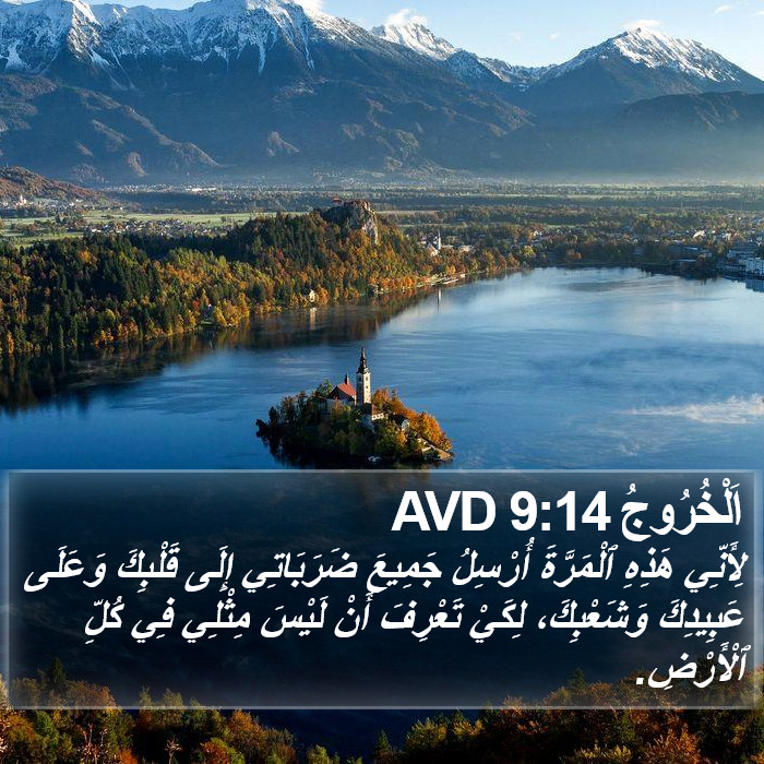 اَلْخُرُوجُ 9:14 AVD Bible Study