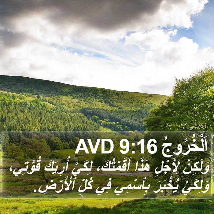 اَلْخُرُوجُ 9:16 AVD Bible Study