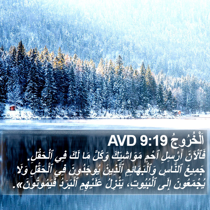 اَلْخُرُوجُ 9:19 AVD Bible Study