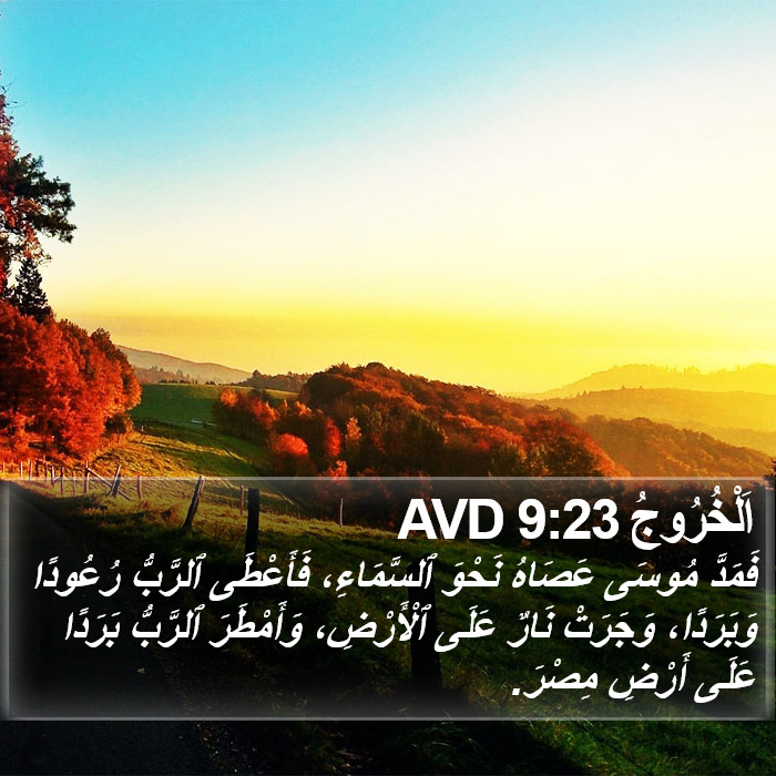 اَلْخُرُوجُ 9:23 AVD Bible Study