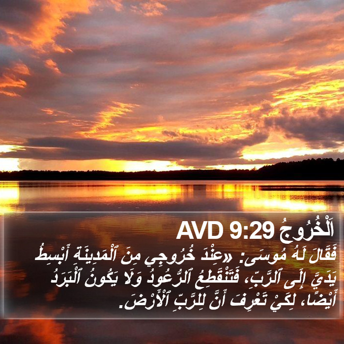 اَلْخُرُوجُ 9:29 AVD Bible Study
