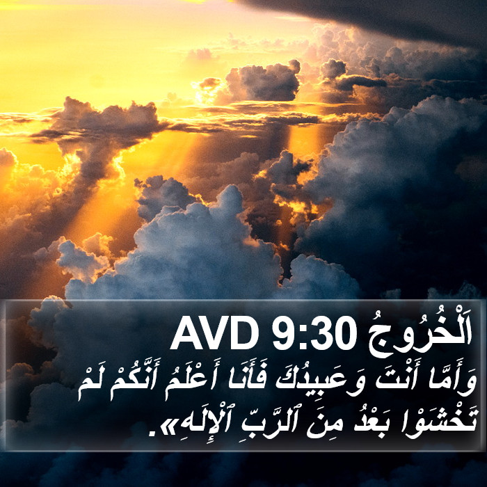 اَلْخُرُوجُ 9:30 AVD Bible Study