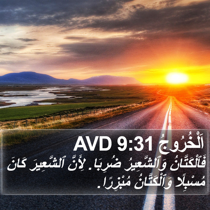 اَلْخُرُوجُ 9:31 AVD Bible Study