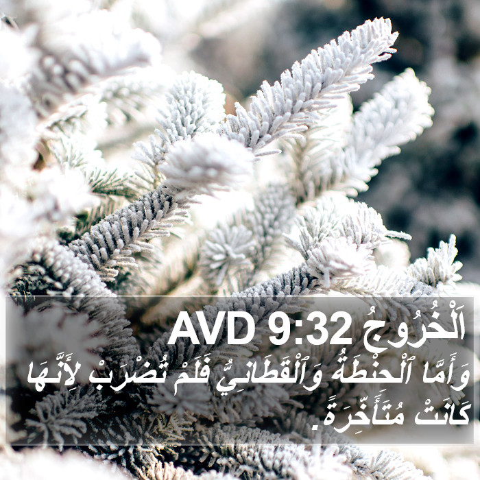 اَلْخُرُوجُ 9:32 AVD Bible Study