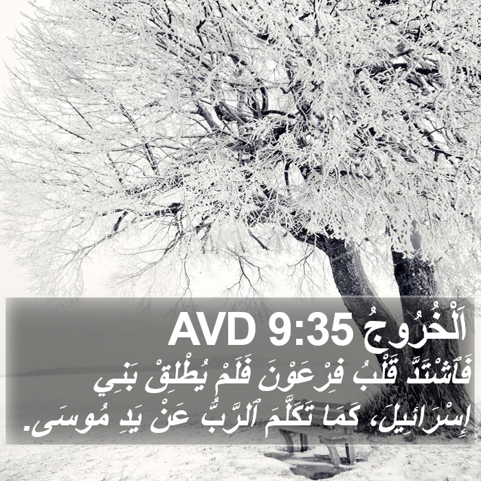 اَلْخُرُوجُ 9:35 AVD Bible Study