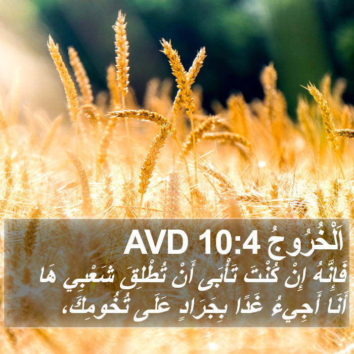 اَلْخُرُوجُ 10:4 AVD Bible Study