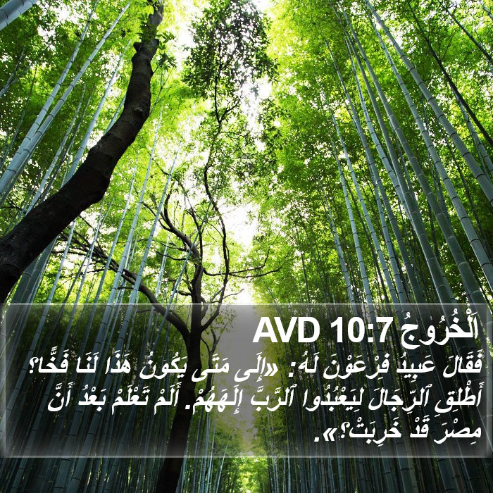 اَلْخُرُوجُ 10:7 AVD Bible Study