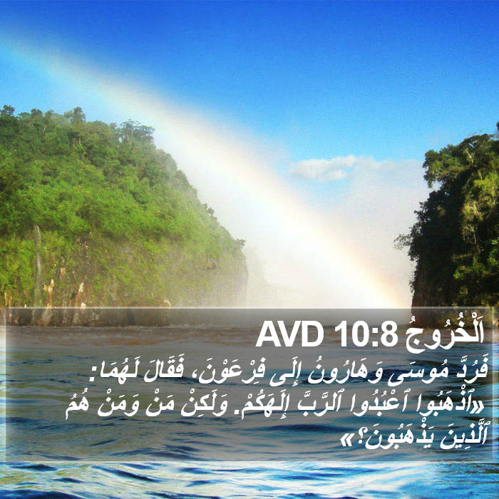 اَلْخُرُوجُ 10:8 AVD Bible Study