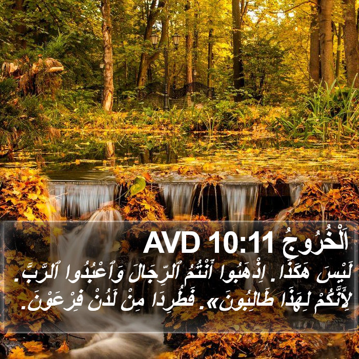 اَلْخُرُوجُ 10:11 AVD Bible Study
