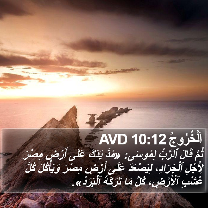 اَلْخُرُوجُ 10:12 AVD Bible Study