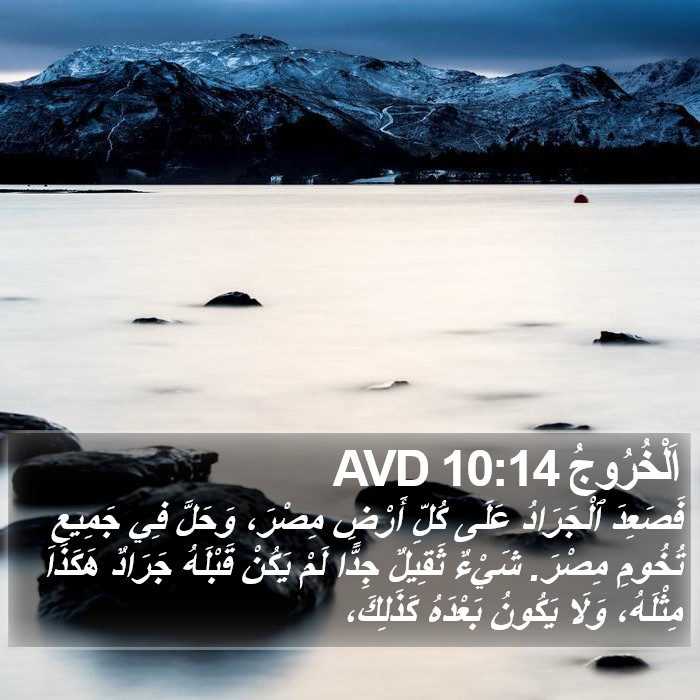 اَلْخُرُوجُ 10:14 AVD Bible Study