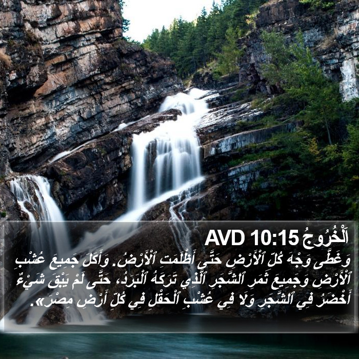اَلْخُرُوجُ 10:15 AVD Bible Study