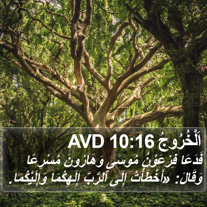 اَلْخُرُوجُ 10:16 AVD Bible Study