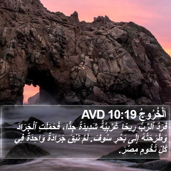 اَلْخُرُوجُ 10:19 AVD Bible Study