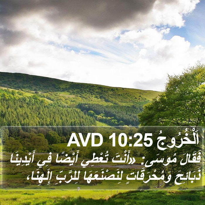 اَلْخُرُوجُ 10:25 AVD Bible Study