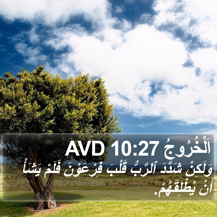 اَلْخُرُوجُ 10:27 AVD Bible Study