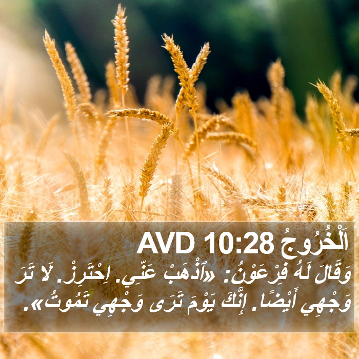 اَلْخُرُوجُ 10:28 AVD Bible Study