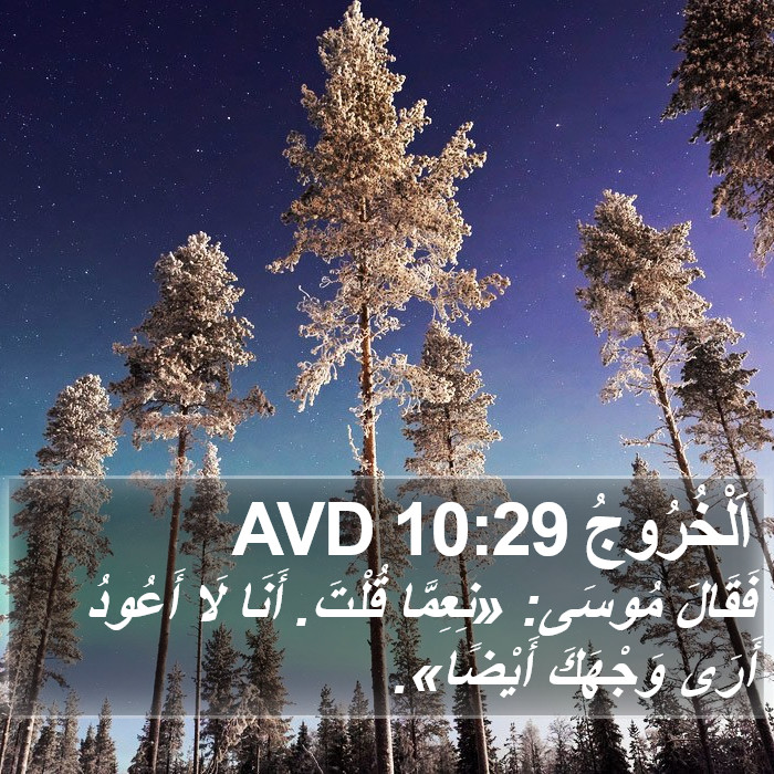 اَلْخُرُوجُ 10:29 AVD Bible Study
