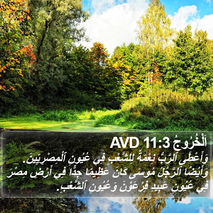 اَلْخُرُوجُ 11:3 AVD Bible Study