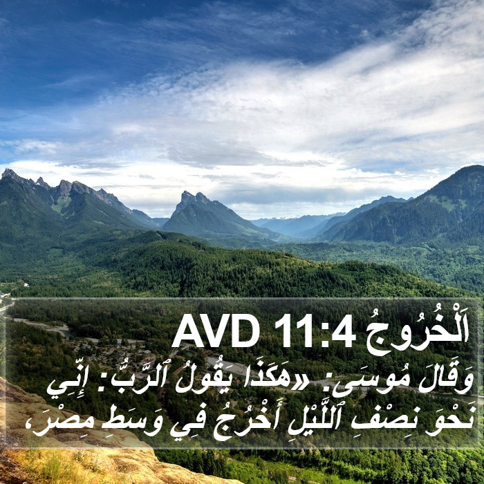 اَلْخُرُوجُ 11:4 AVD Bible Study