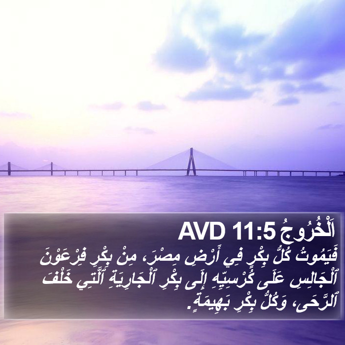 اَلْخُرُوجُ 11:5 AVD Bible Study