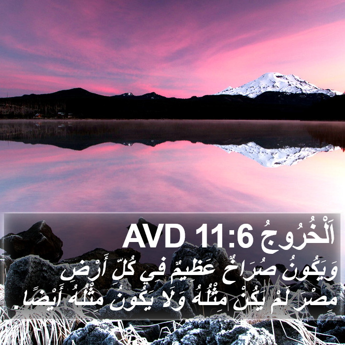 اَلْخُرُوجُ 11:6 AVD Bible Study
