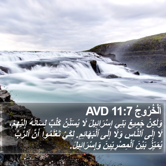 اَلْخُرُوجُ 11:7 AVD Bible Study