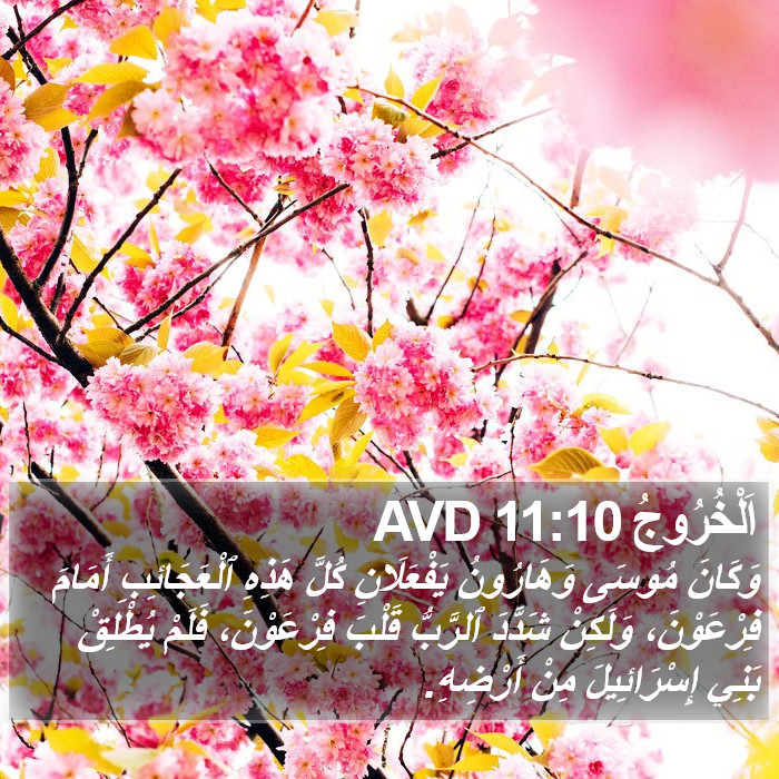 اَلْخُرُوجُ 11:10 AVD Bible Study