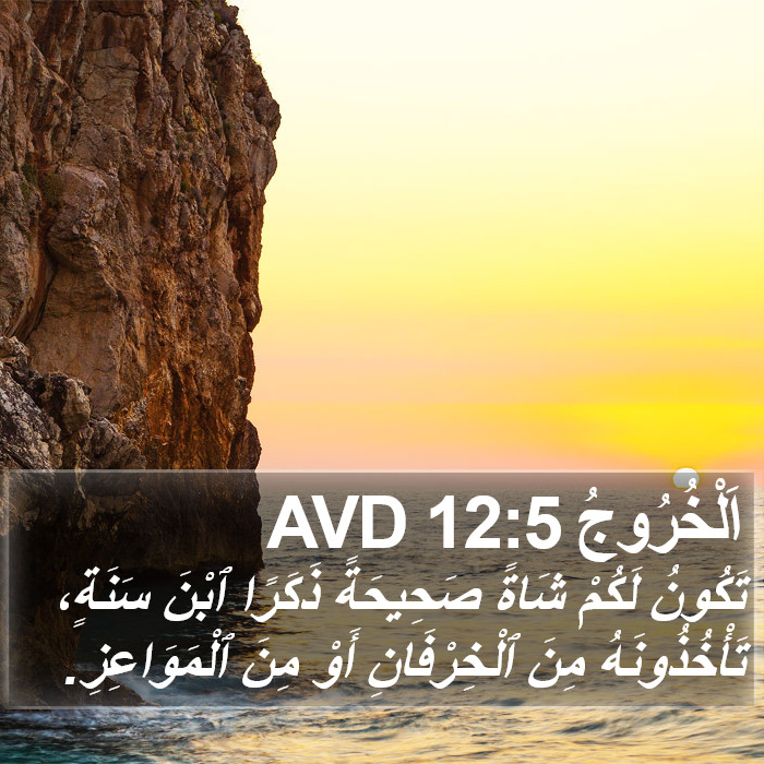 اَلْخُرُوجُ 12:5 AVD Bible Study