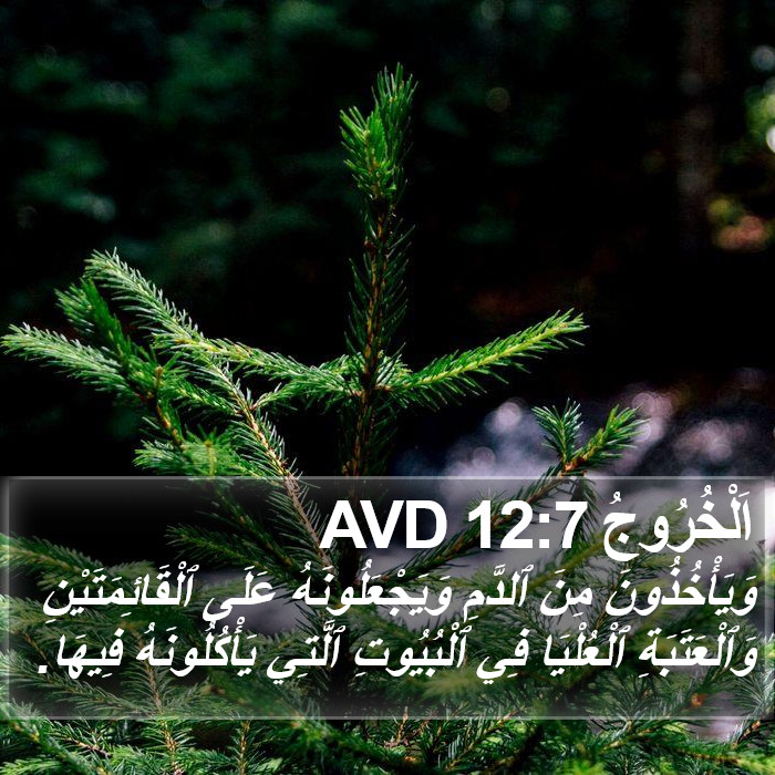 اَلْخُرُوجُ 12:7 AVD Bible Study