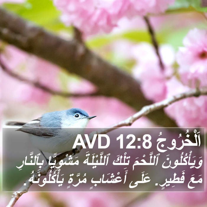 اَلْخُرُوجُ 12:8 AVD Bible Study