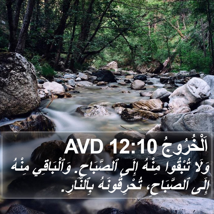 اَلْخُرُوجُ 12:10 AVD Bible Study