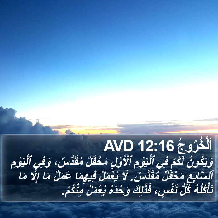 اَلْخُرُوجُ 12:16 AVD Bible Study