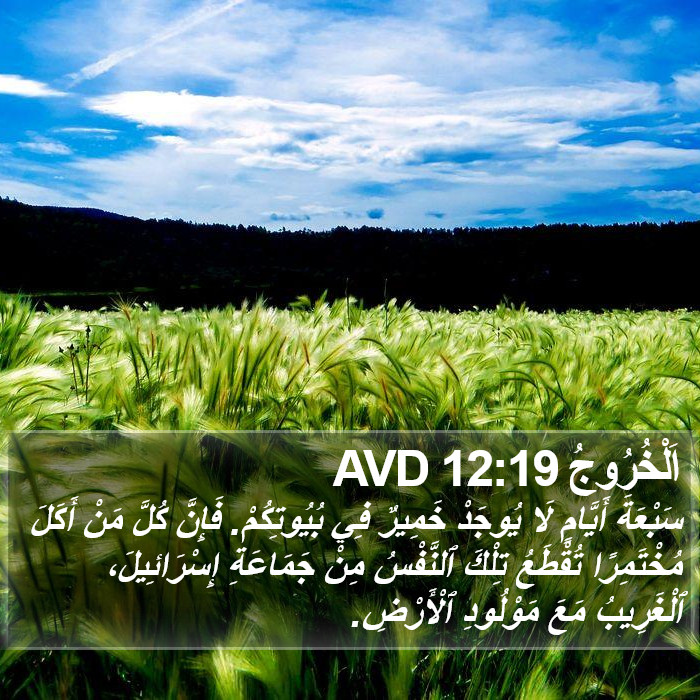 اَلْخُرُوجُ 12:19 AVD Bible Study