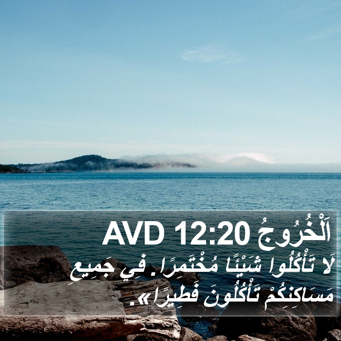 اَلْخُرُوجُ 12:20 AVD Bible Study