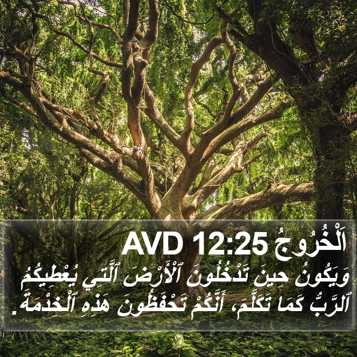 اَلْخُرُوجُ 12:25 AVD Bible Study