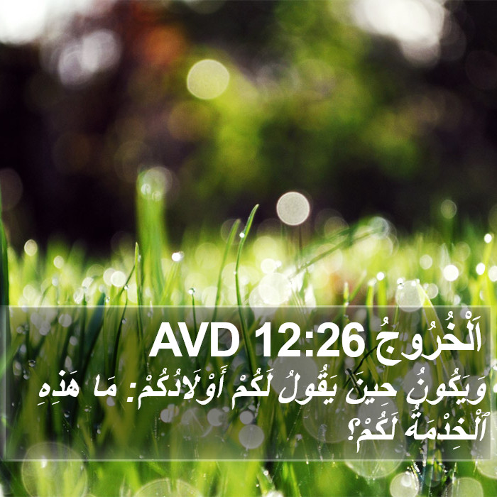 اَلْخُرُوجُ 12:26 AVD Bible Study