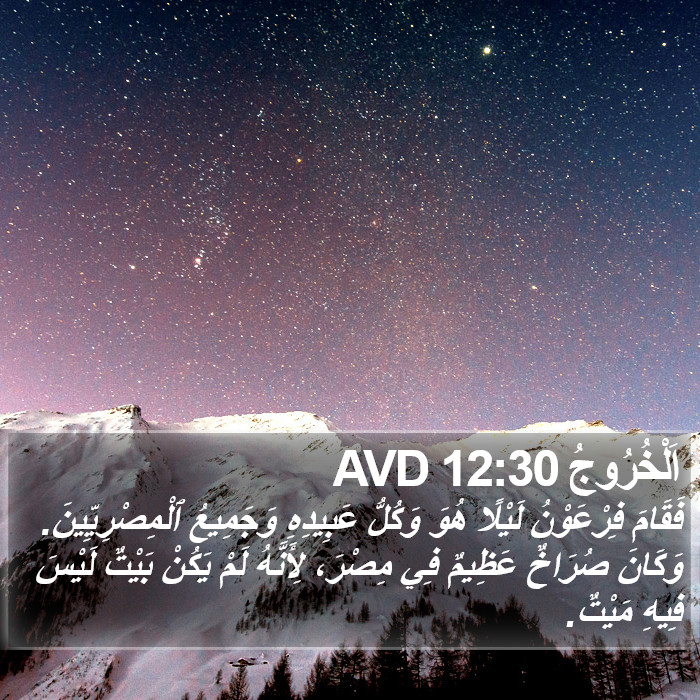 اَلْخُرُوجُ 12:30 AVD Bible Study