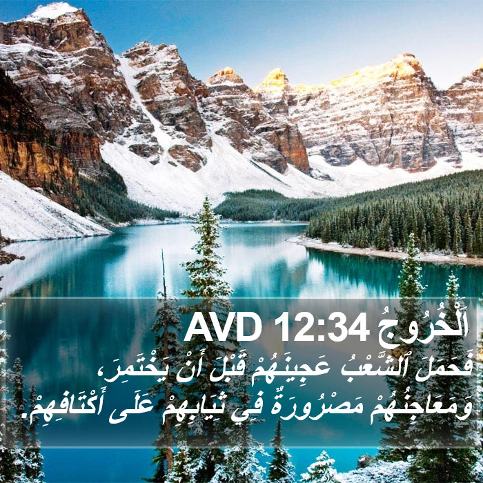 اَلْخُرُوجُ 12:34 AVD Bible Study