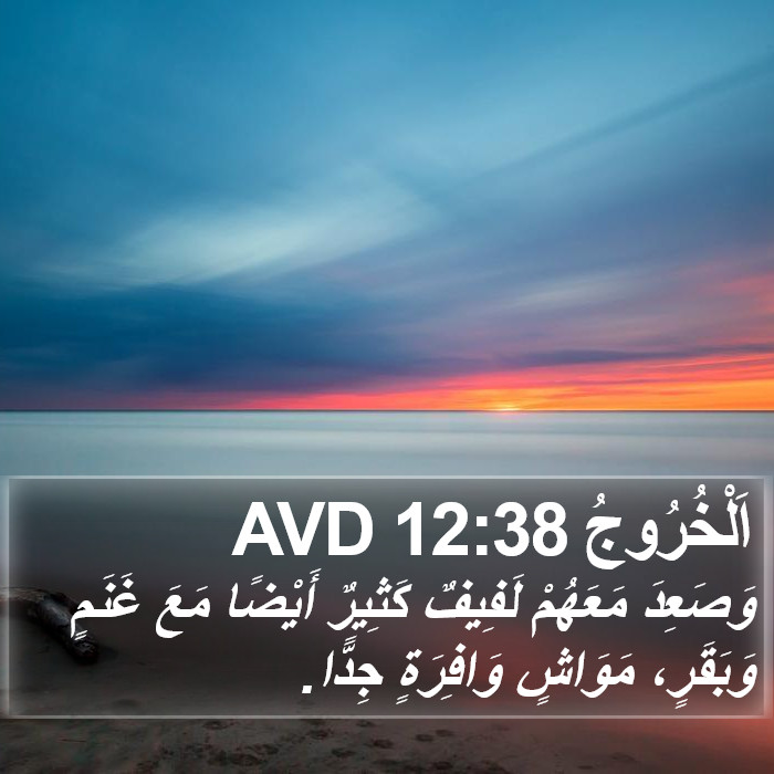 اَلْخُرُوجُ 12:38 AVD Bible Study