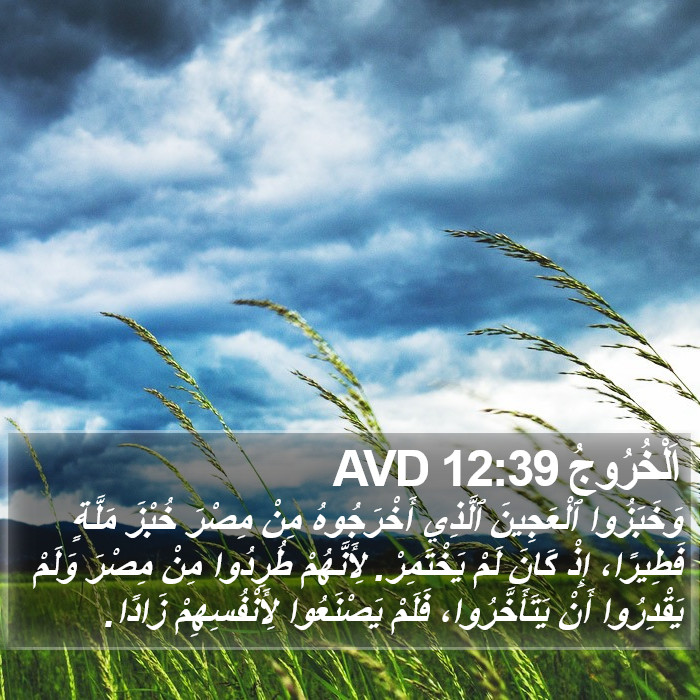 اَلْخُرُوجُ 12:39 AVD Bible Study