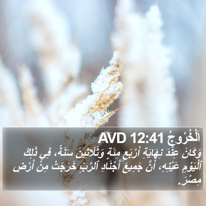 اَلْخُرُوجُ 12:41 AVD Bible Study