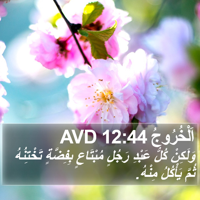 اَلْخُرُوجُ 12:44 AVD Bible Study
