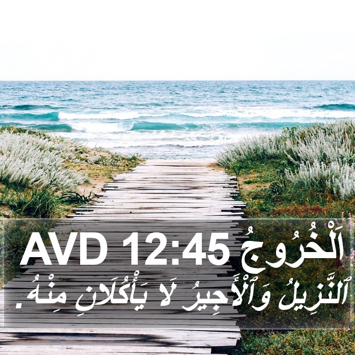 اَلْخُرُوجُ 12:45 AVD Bible Study