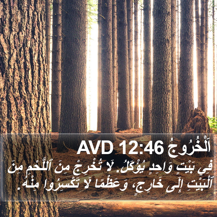اَلْخُرُوجُ 12:46 AVD Bible Study