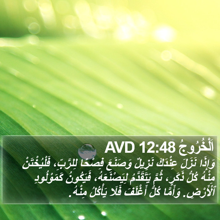 اَلْخُرُوجُ 12:48 AVD Bible Study