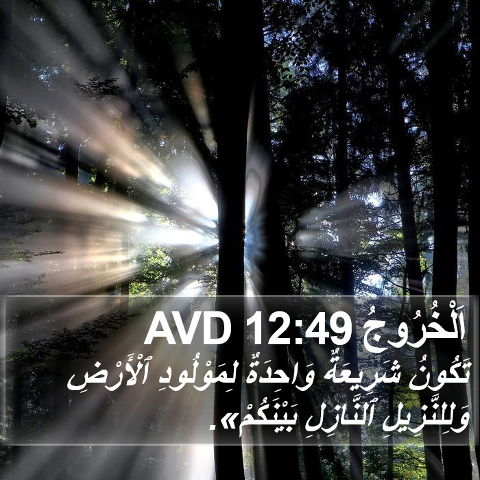 اَلْخُرُوجُ 12:49 AVD Bible Study